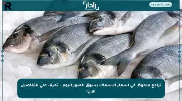 تراجع ملحوظ في أسعار الأسماك بسوق العبور اليوم.. تعرف على التفاصيل الآن!